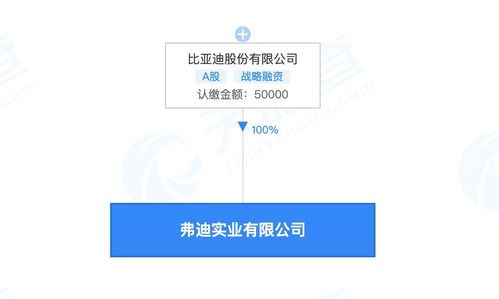 比亞迪成立弗迪實業，深耕人工智能軟件開發新藍海